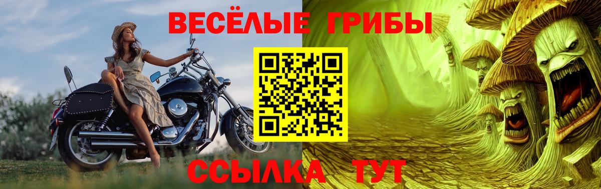 Алапаевск  Псилоцибиновые грибы Cubensis  Галлюциногенные грибы ЛСД  Вход с VPN 